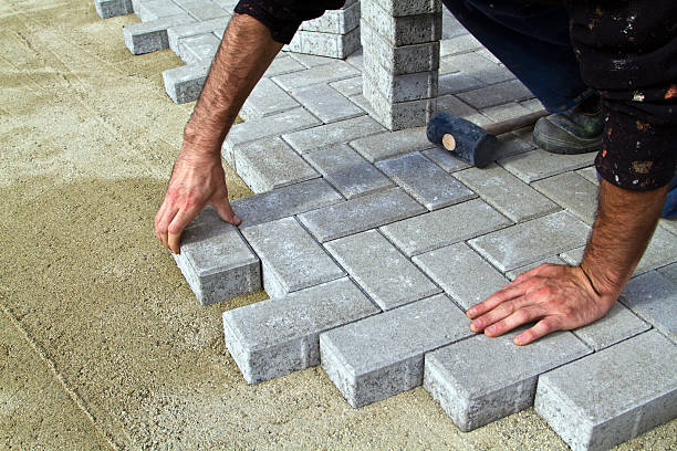 Best Driveway Paving Contractor  in Coal Run Village, KY
